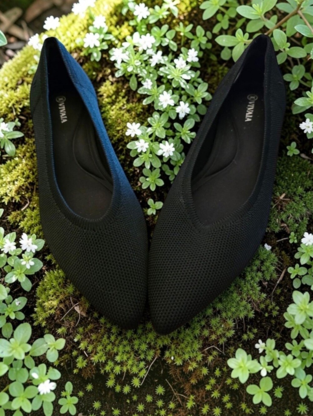 Vivaia Black Pointed Kitten Heel Pumps In Box